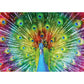 Colorful Peacock 1000 Piece Jigsaw Puzzle Enjoy