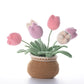 Tulips in Bloom. Potted Flower Amigurumi DIY Crochet Kit Wizardi F07N8-M30