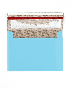 Blue Glitter Trap Envelope (1-Pack)