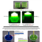 Blue Orchid