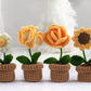 Yellow Flowers. Potted Flower Amigurumi DIY Crochet Kit Wizardi F07N8-M19