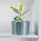 Minimal Face Planter, Small Medium Large, With Drip Tray and Great Drainage