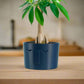 Minimal Face Planter, Small Medium Large, With Drip Tray and Great Drainage