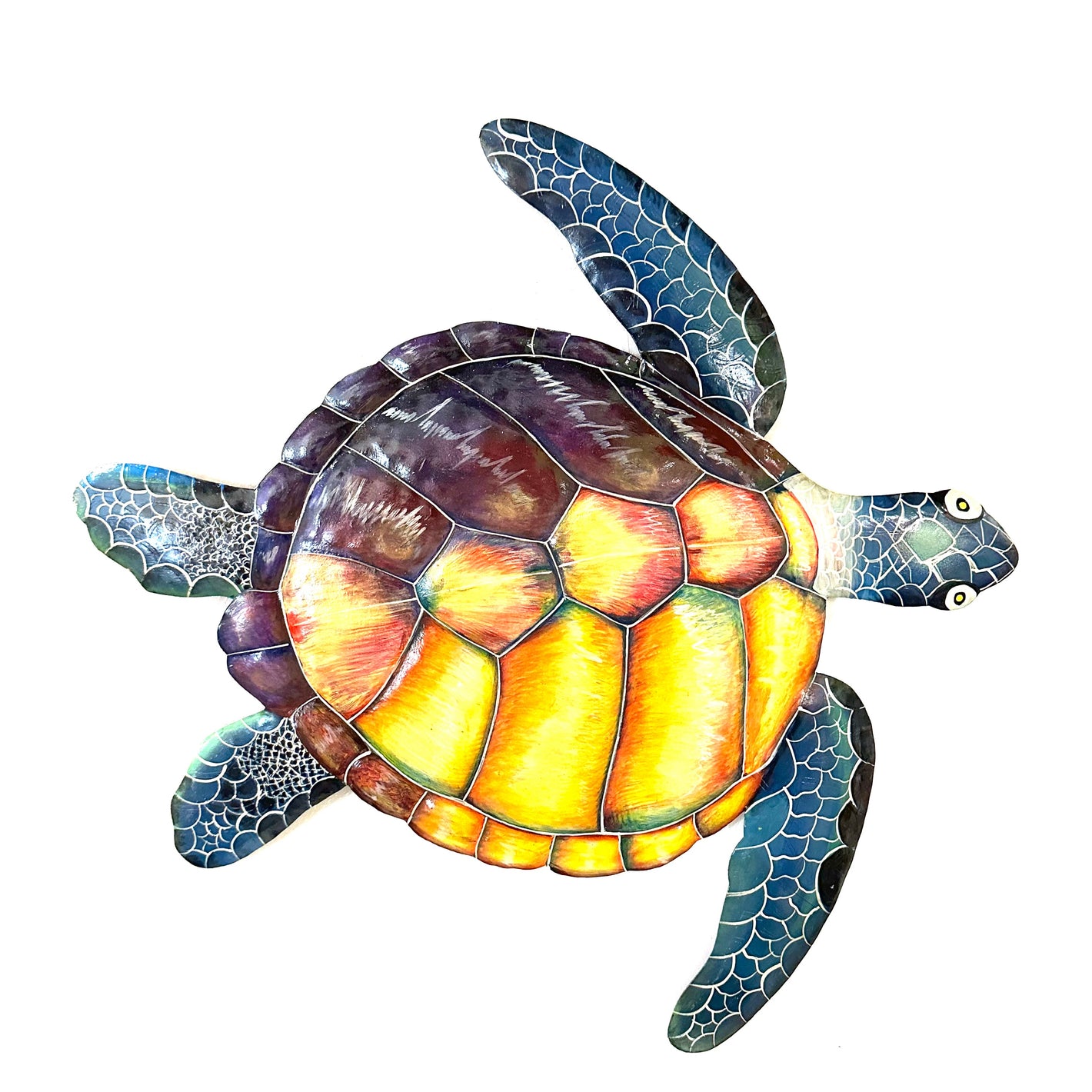 Rainbow Sea Turtle