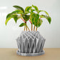 Galaxy Groove Plant Pot