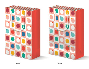 MODERN ORNAMENTS GIFT BAG
