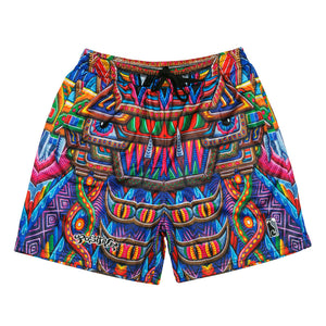 Chris Dyer Freesponsable Rainbow Mesh Shorts