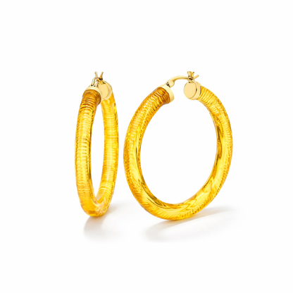 INSTYLE Lucite Hoop Earrings