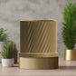 Full Spiral Planter