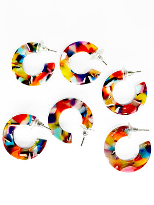 Rainbow Tortoise Hoop Earrings