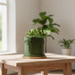 Drip Planter