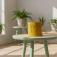 Drip Planter