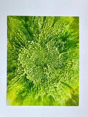 Bespattered Facade 8" x 10" Resin Petri Giclee Print #3