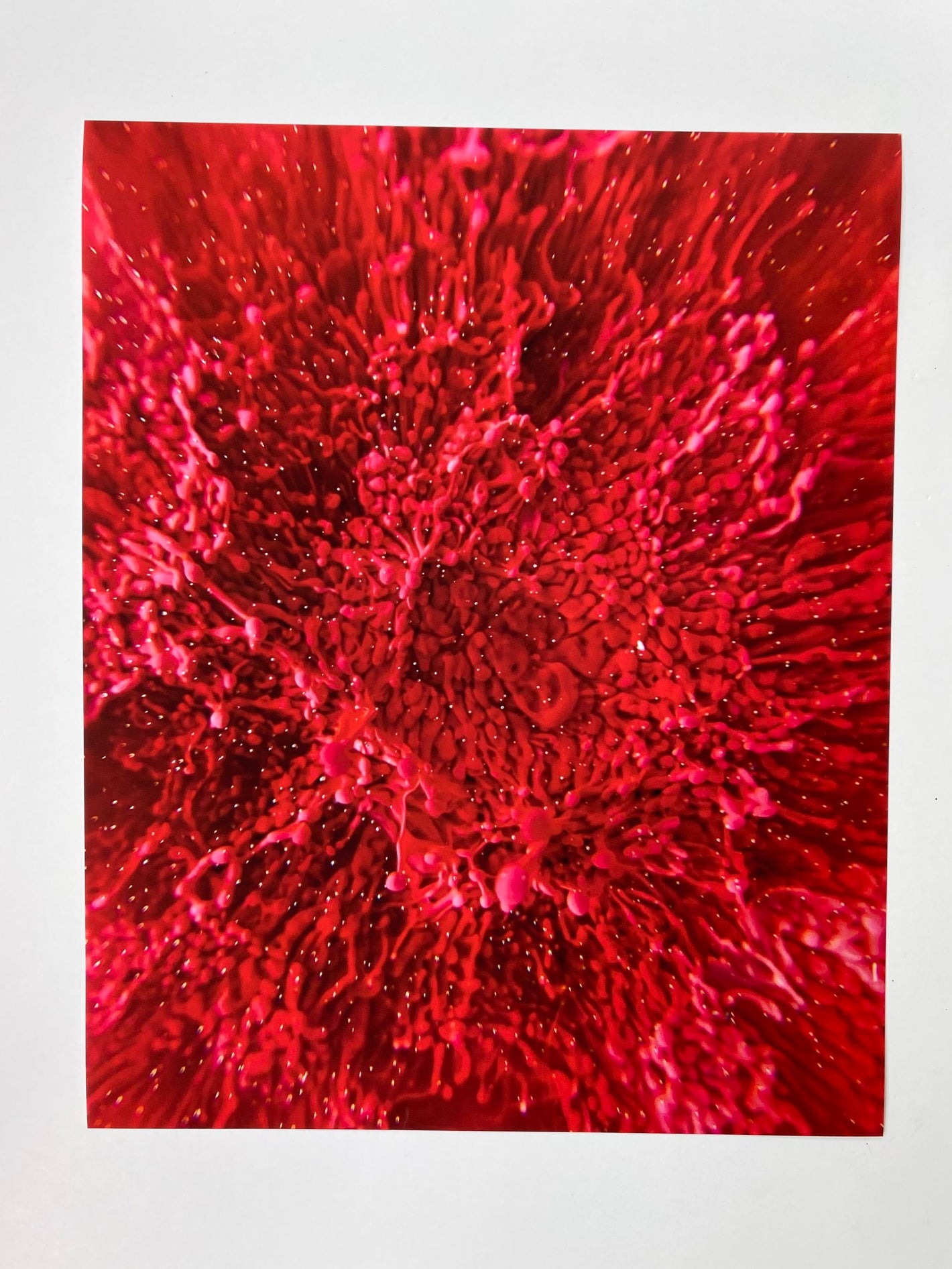Bespattered Facade 8" x 10" Resin Petri Giclee Print #4