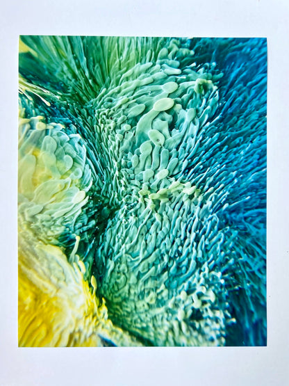 Bespattered Facade 8" x 10" Resin Petri Giclee Print #1