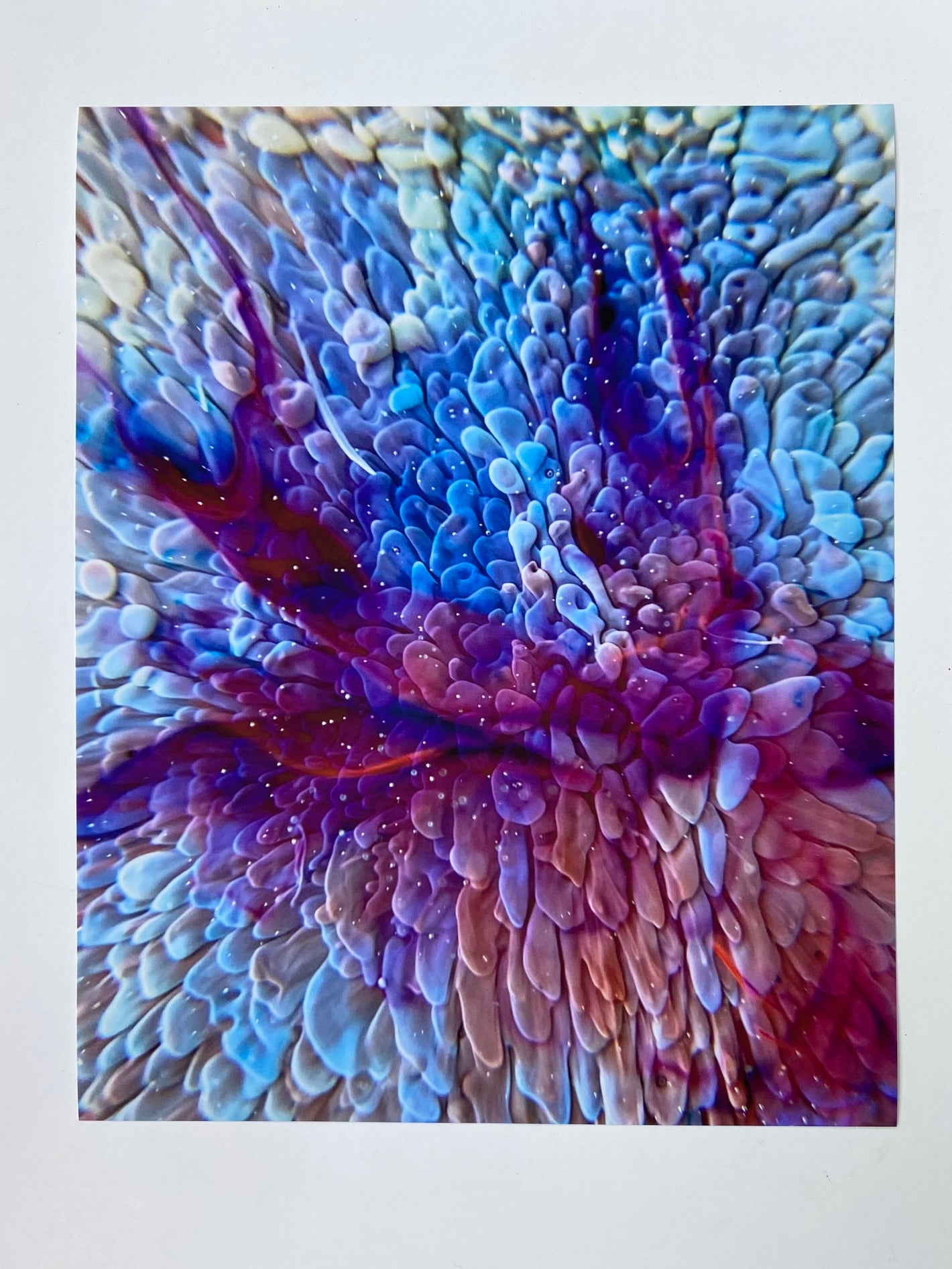 Bespattered Facade 8" x 10" Resin Petri Giclee Print #7