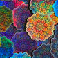 Bespattered Facade Pastel Rainbow Flower Mandala Holographic Sticker