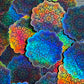 Bespattered Facade Pastel Rainbow Flower Mandala Holographic Sticker