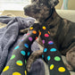 Black & Rainbow Dots Unisex Mid-Calf Adult Socks