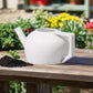 HydraMate Modern Watering Can for Houseplants