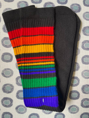 Rainbow Stripe Knee High Tube Socks