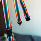 Progressive Pride Rainbow Stripes Lanyard