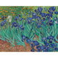 Irises Umbrella