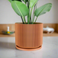 Mid-Century Ribbed Planter
