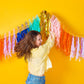 Multicolor Fringe Canopy Banners (set of 2)