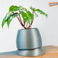Nubium Planter