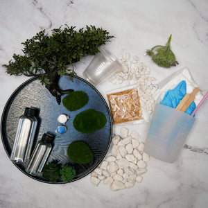 Resin Zen Garden Kit
