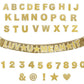 Customizable Gold Fringe Reusable Party Banner