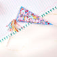 Customizable Confetti-filled Pennant Kit