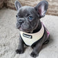 Slumber Pawty Reversible Harness
