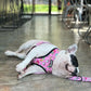 Slumber Pawty Reversible Harness