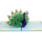 Peacock Pop Up Card