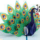 Peacock Pop Up Card