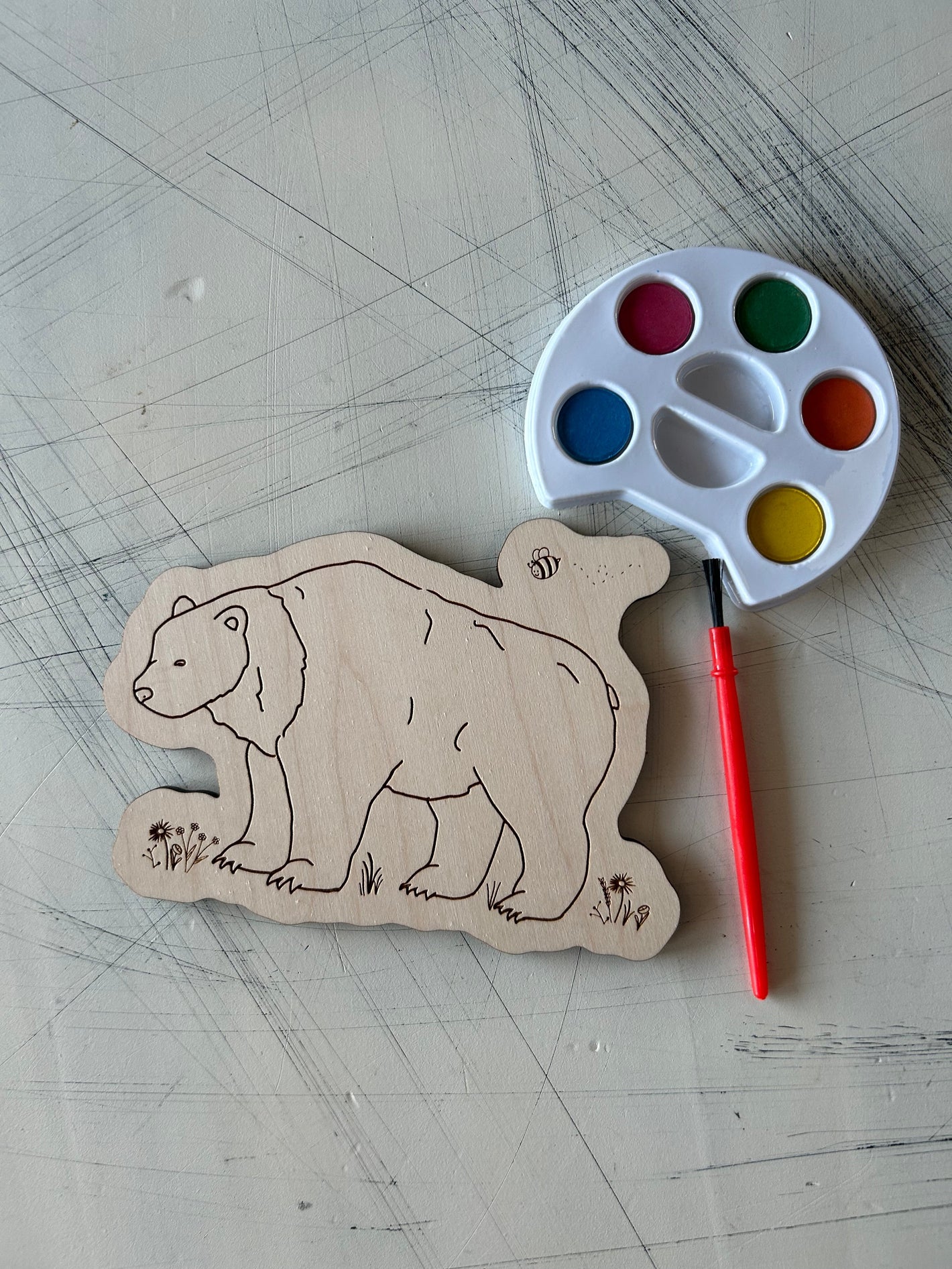 Bear Watercolor Craft Kit