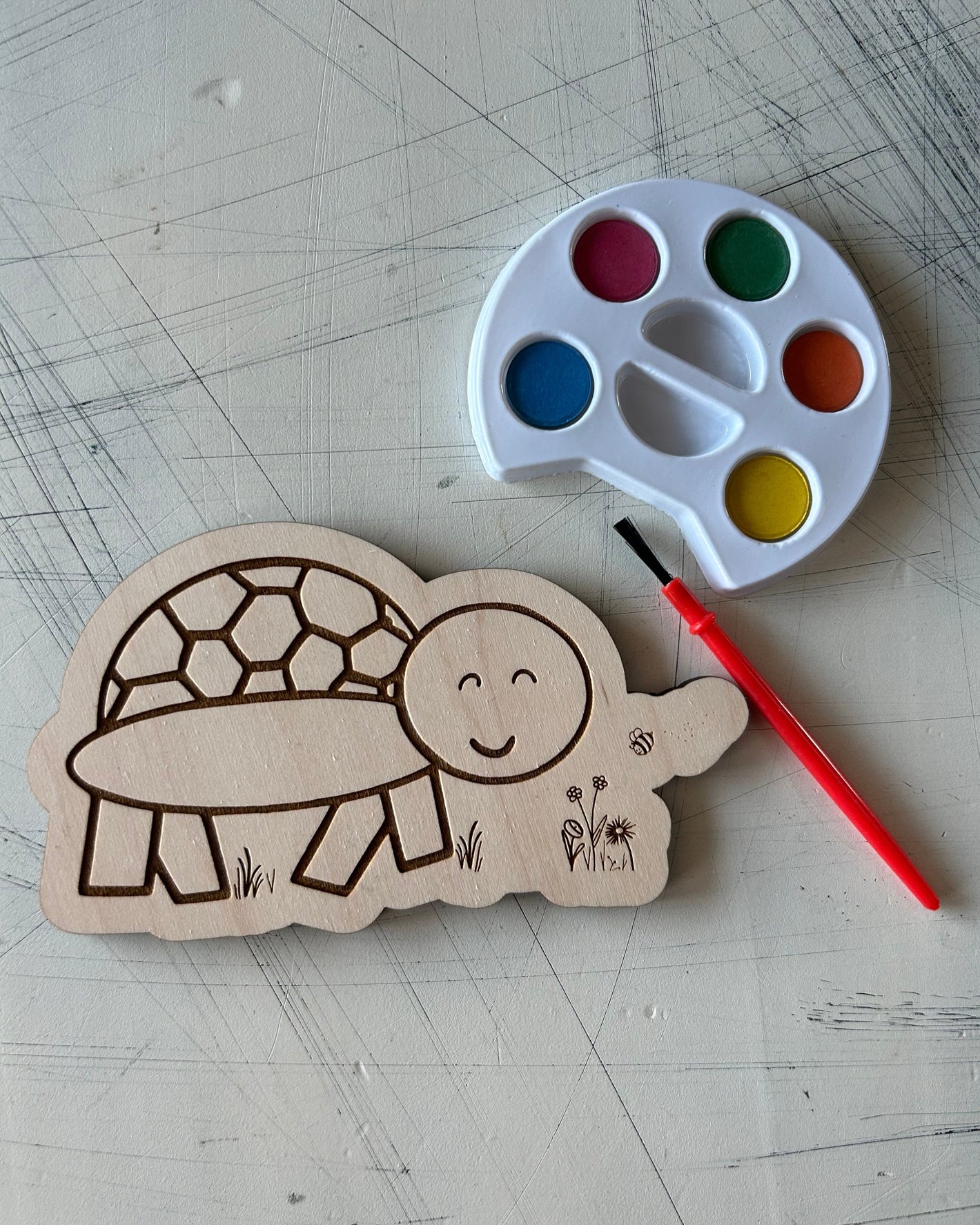 Turtle Watercolor Craft Kit