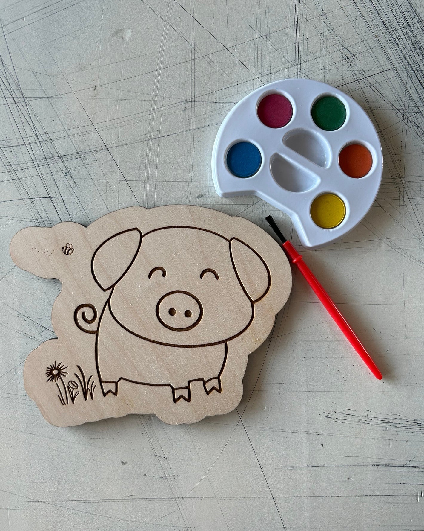 Pig Watercolor Craft Kit
