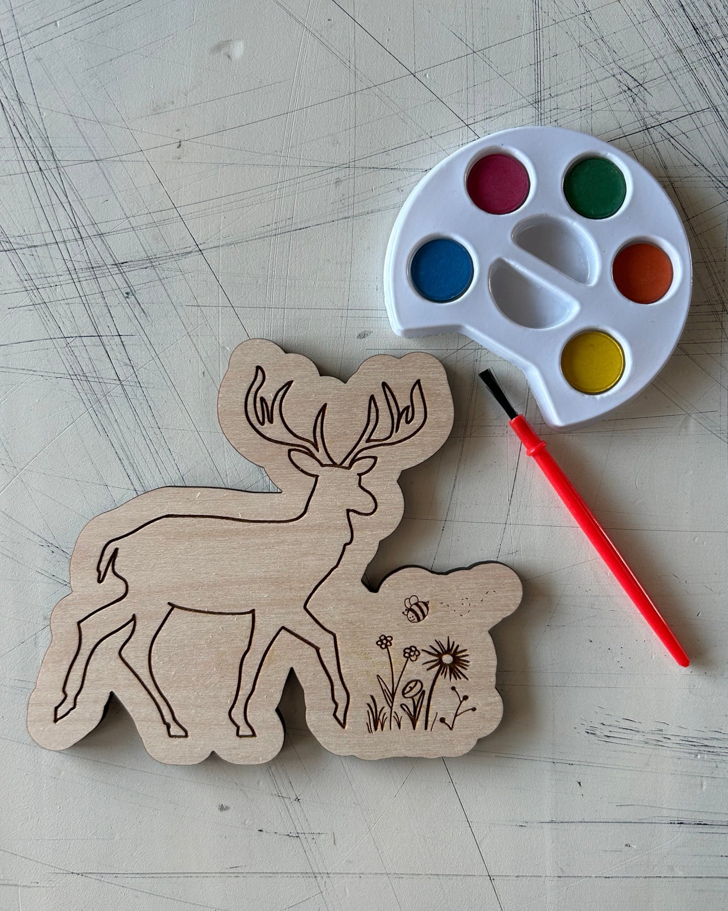 Deer Watercolor Craft Kit