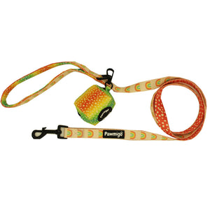 Chasing Rainbows Leash Set