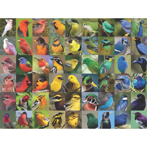 Rainbow of Birds 1000 Piece Jigsaw Puzzle NYPC
