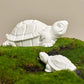 Stereo Turtle Silicone Candle Mold DIY Handmade Animal Shape Aromath Soap Plaster Resin Craft Casting Molds Home Decor Supplies