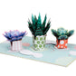 Succulents Pop Up Card