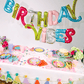 Birthday Vibes Multicolor Balloon Banner