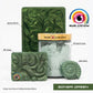 Bonsai Green