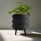 Bubble Planter/ Donut Planter with Drainage