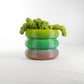 Bubble Planter/ Donut Planter with Drainage