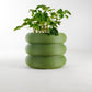Bubble Planter/ Donut Planter with Drainage